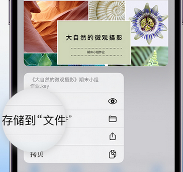 竟陵街道apple维修中心分享iPhone文件应用中存储和找到下载文件