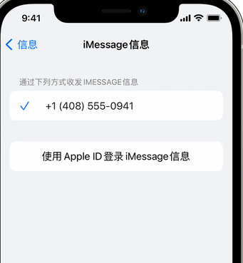 竟陵街道apple维修iPhone上无法正常发送iMessage信息 