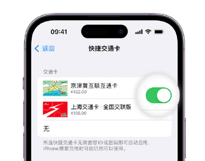 竟陵街道apple维修点分享iPhone上更换Apple Pay快捷交通卡手绘卡面 