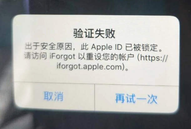 竟陵街道iPhone维修分享iPhone上正常登录或使用AppleID怎么办 