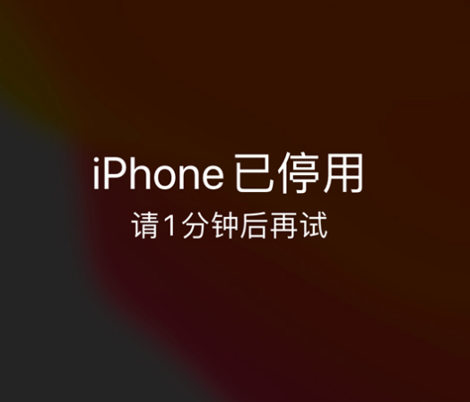 竟陵街道苹果手机维修分享:iPhone 显示“不可用”或“已停用”怎么办？还能保留数据吗？ 