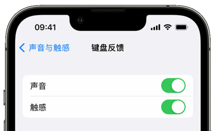 竟陵街道苹果手机维修分享iPhone 14触感键盘使用方法 