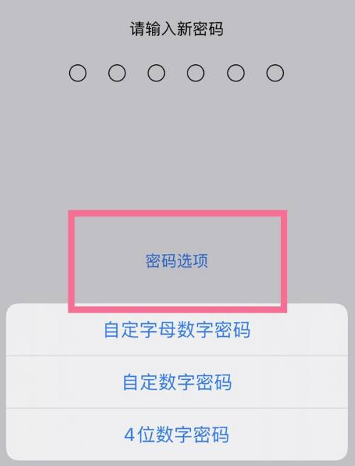 竟陵街道苹果14维修分享iPhone 14plus设置密码的方法 