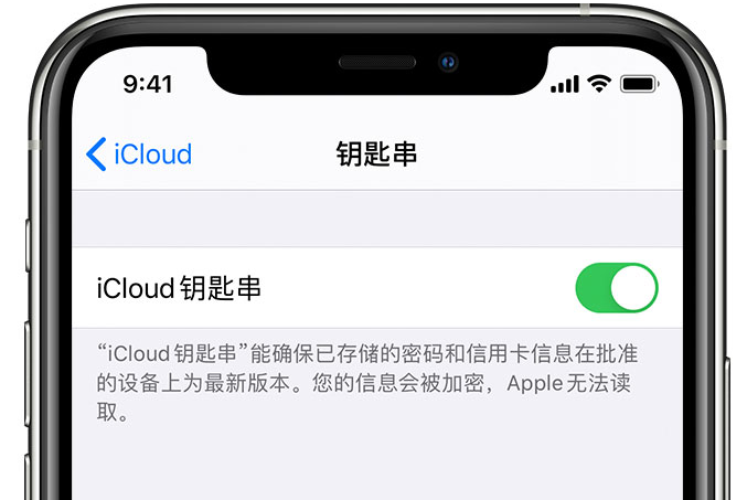 竟陵街道苹果手机维修分享在 iPhone 上开启 iCloud 钥匙串之后会储存哪些信息 