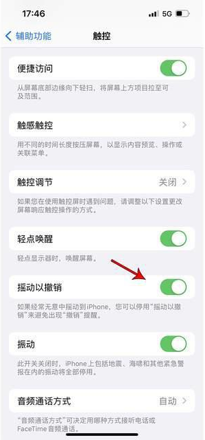 竟陵街道苹果手机维修分享iPhone手机如何设置摇一摇删除文字 